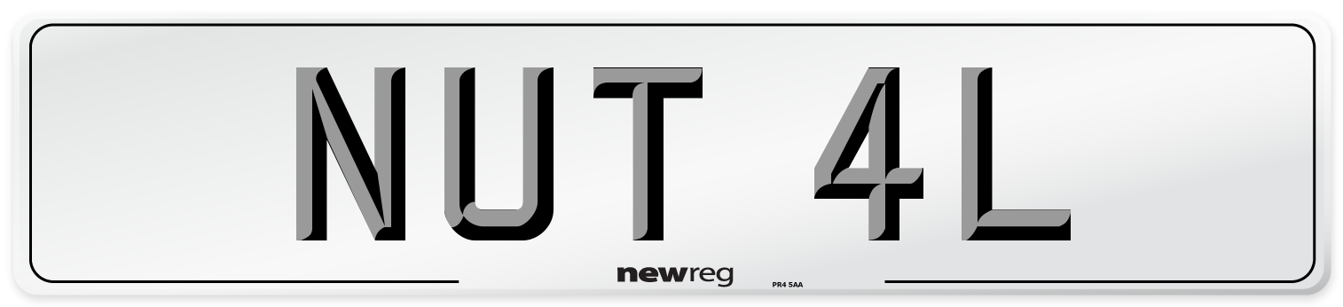 NUT 4L Number Plate from New Reg